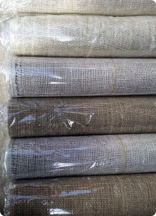 Jute Kantan