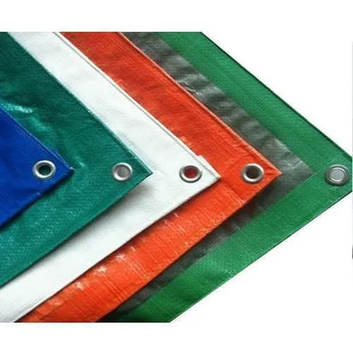 Plastic Tarpaulin (Tadpatri)