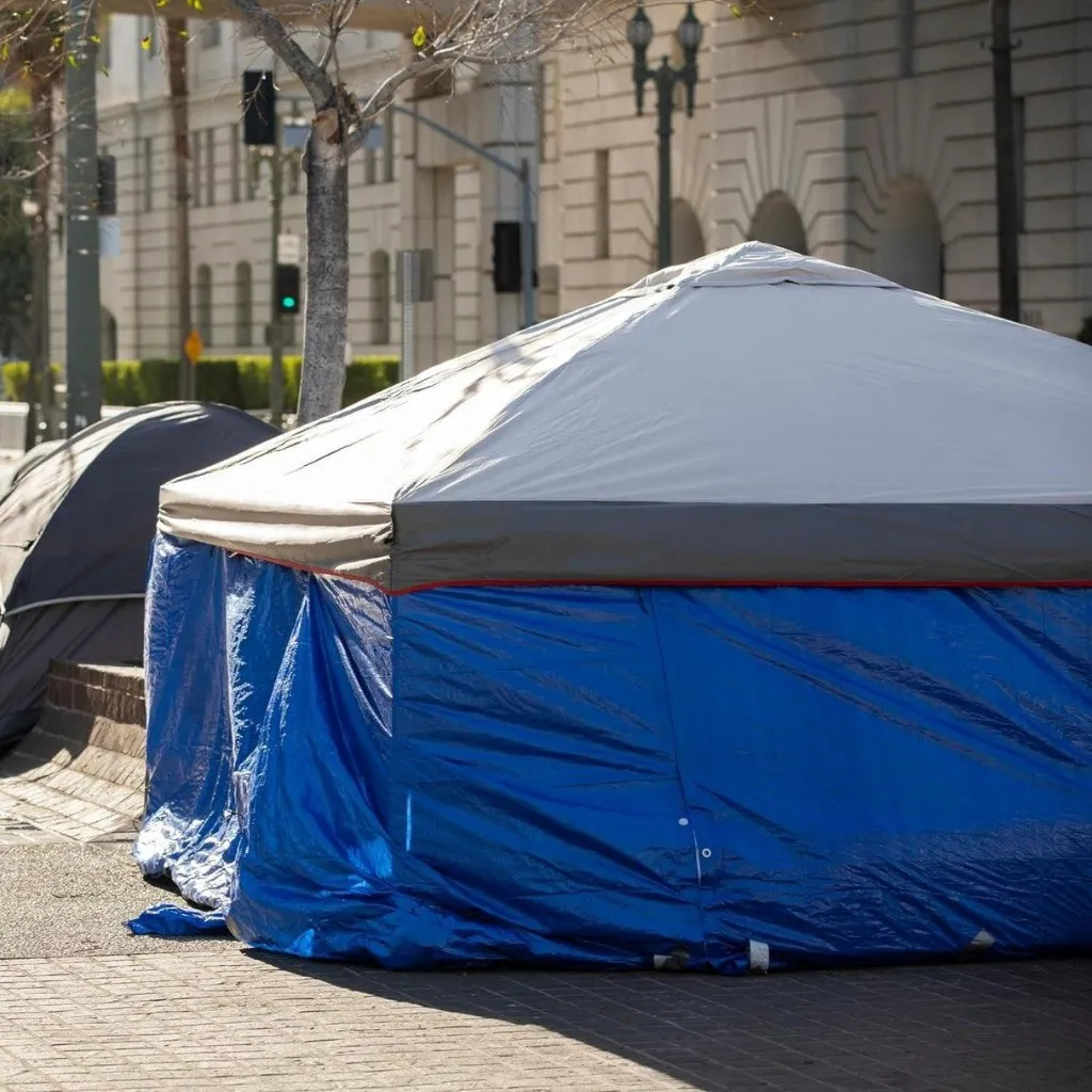 Plastic Tarpaulin (Tadpatri)